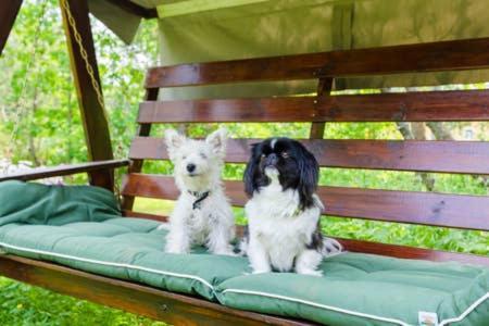 Poppelstrand Nuuksio, Pet Friendly Guest Apartment Екстериор снимка